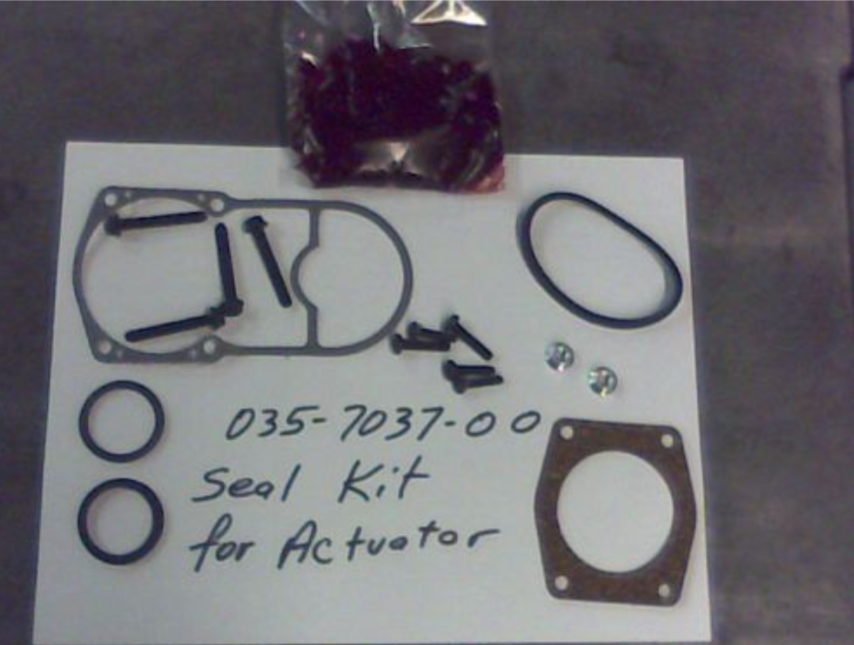 035-7037-00 - Seal for Actuator