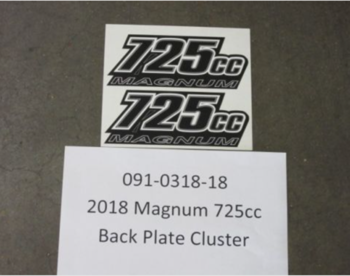 091-0318-18 - 2018 Magnum 725cc Back Plate Cluster