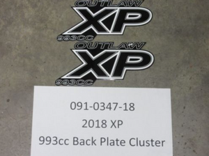091-0347-18 - 2018 XP 993cc Back Plate Cluster